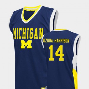 For Men Rico Ozuna-Harrison Michigan Jersey Fadeaway Blue #14 College Basketball
