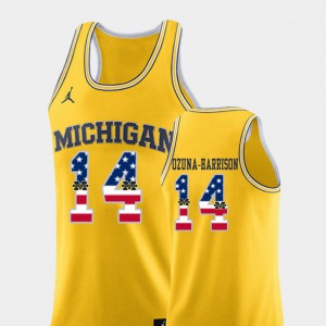 College Basketball Men's Rico Ozuna-Harrison Michigan Jersey USA Flag #14 Yellow
