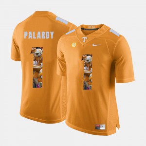 #1 Orange Michael Palardy UT Jersey For Men's Pictorial Fashion