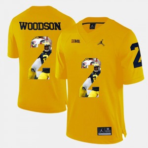 #2 Yellow Player Pictorial For Men's Charles Woodson Michigan Jersey
