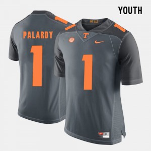 College Football #1 Grey Youth(Kids) Michael Palardy UT Jersey