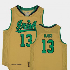Youth Gold Nikola Djogo Notre Dame Jersey #13 College Basketball Special Games Replica